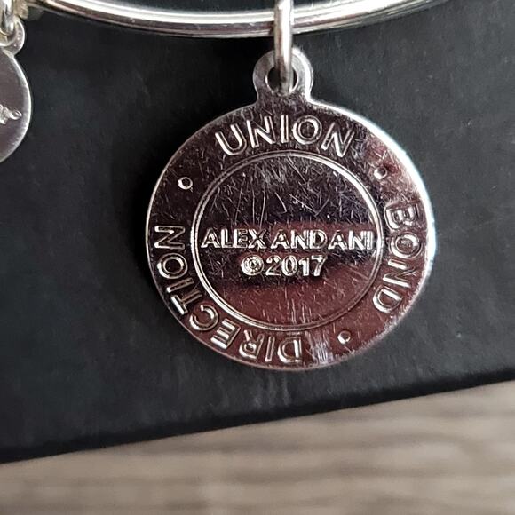 Alex and Ani Arrows of Friendship Charm Bracelet - Picture 9 of 9